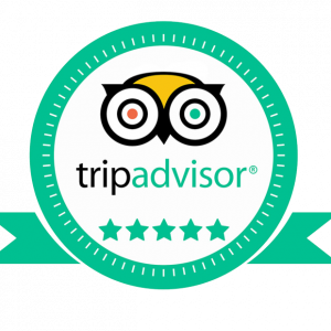 kisspng-tripadvisor-queen-anne-hotel-bluefin-bay-on-lake-s-reservations-cusco-puno-bus-5b6f3cd01903e6.3385009915340167201025.png